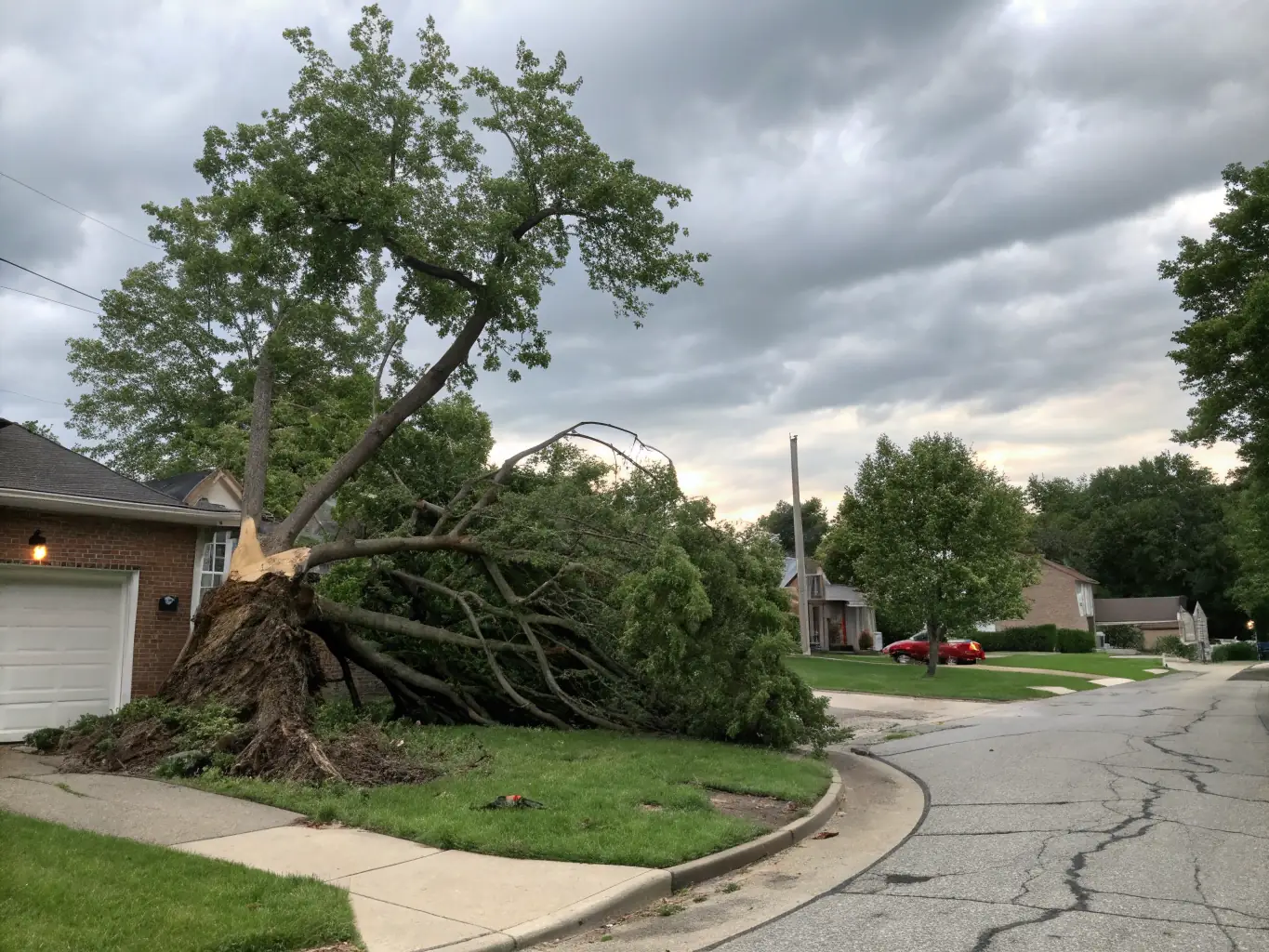 A high-definition photo depicting a tree partially fallen on a house during a storm in Port St. Lucie, emphasizing the urgency and potential danger.